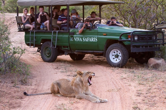 Sudafrica con Ruta Jardin