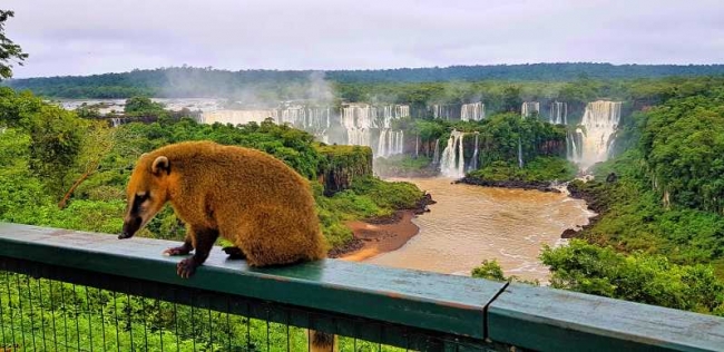 Cataratas del Iguaz