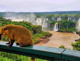 Vacaciones en Cataratas del Iguaz